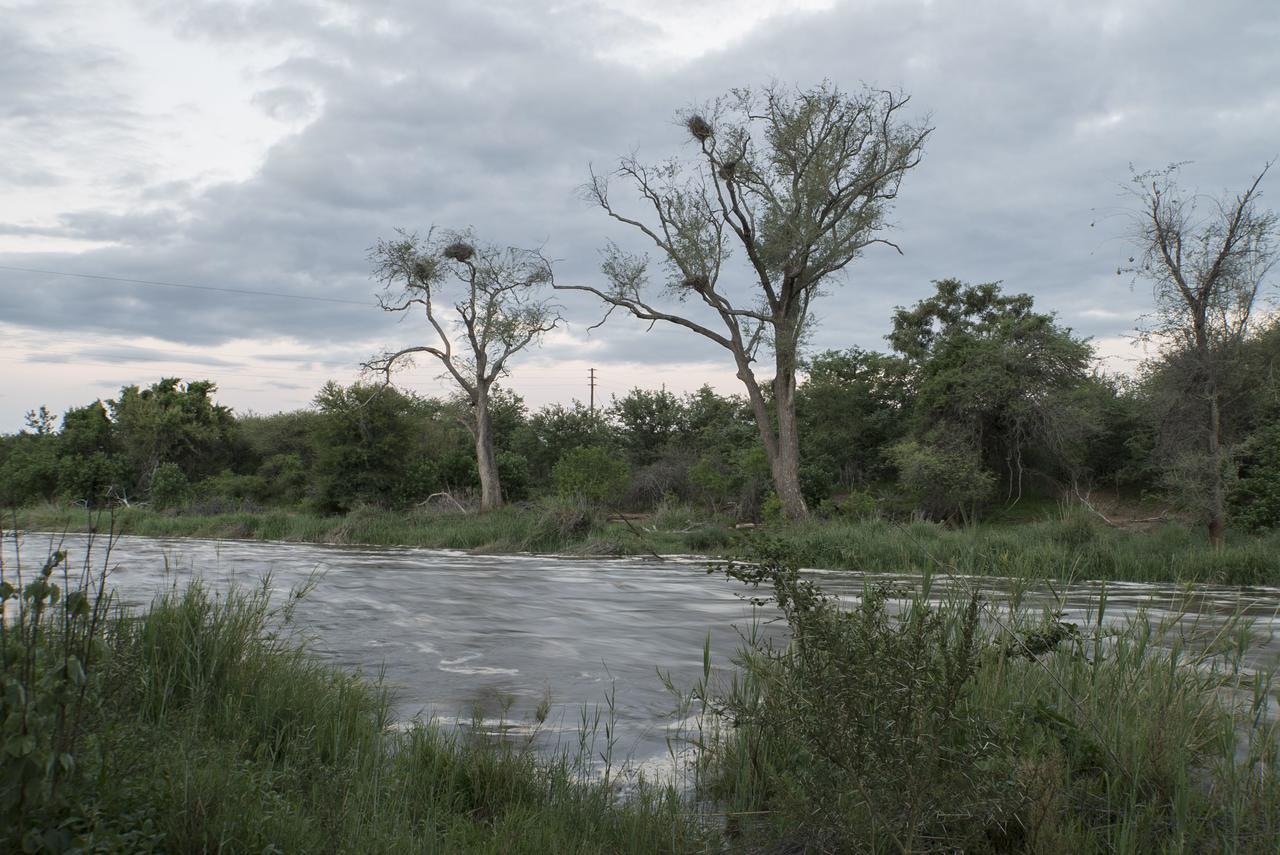 Tokio Limpokwena Nature Reserve מראה חיצוני תמונה